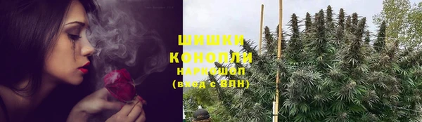 apvp Верея