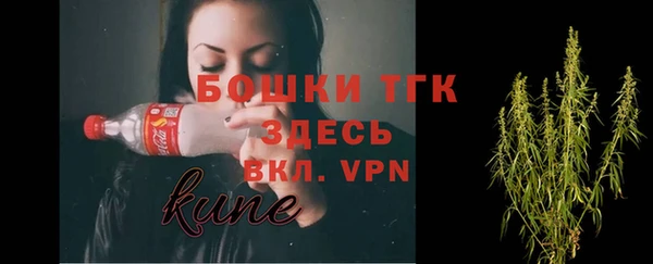 apvp Верея